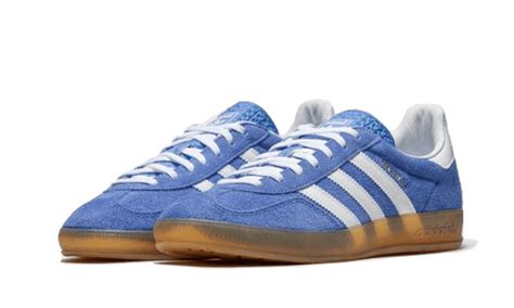 gazelle indoor blue fusion